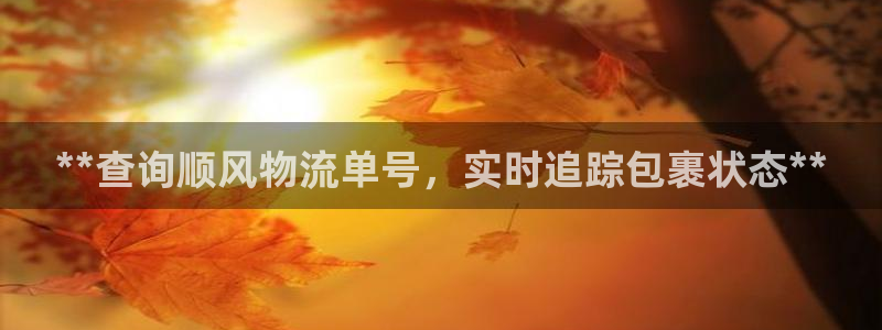 28圈.ccmo