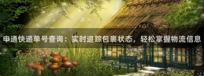 28圈官网开奖结果预测：申通快递单号