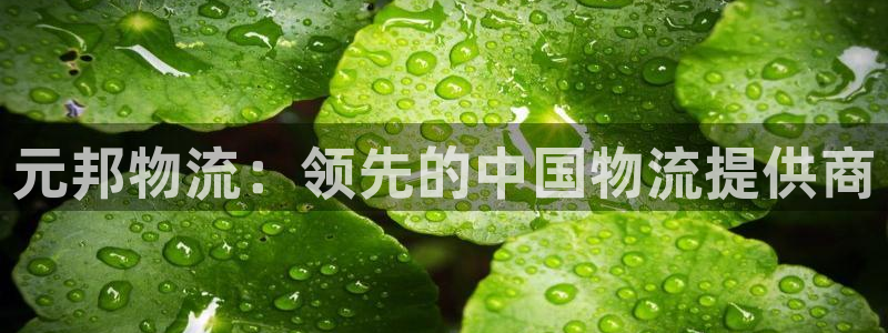 28圈违法吗