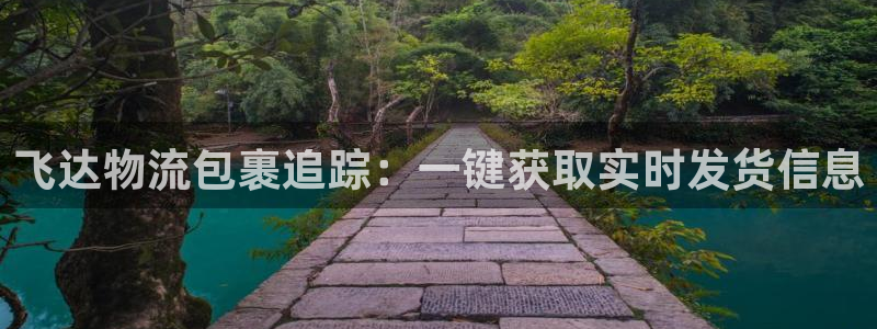 28圈注册账号:飞达物流包裹追踪:一