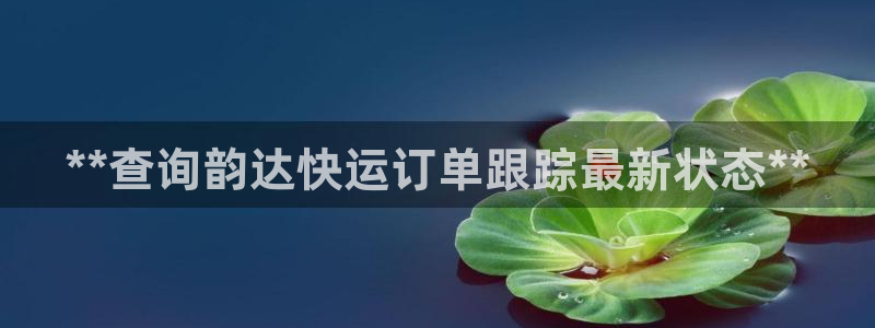 加拿大28圈是什么