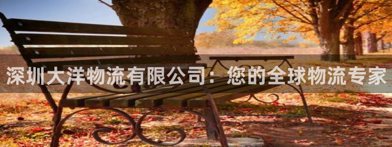 pc28圈怎么注册：深圳大洋物流有限