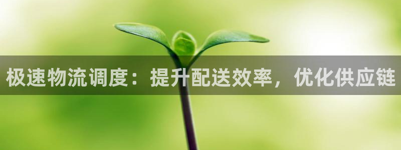 28圈p扣款什么意思：极速物流调度：