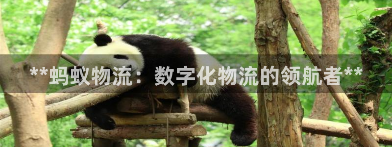 28圈是正规平台吗：**蚂蚁物流：数
