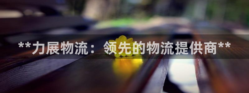 28圈加拿大28：**力展物流：领先