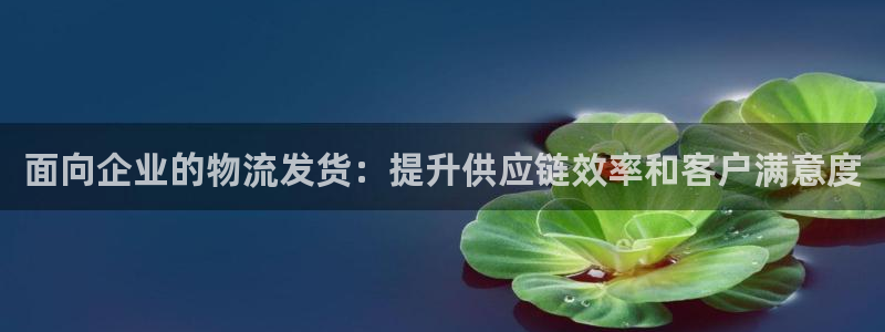 28圈怎么注册下载：面向企业的物流发