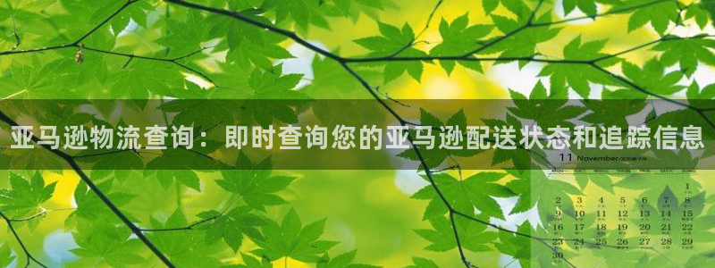 28圈注册流程：亚马逊物流查询：即时