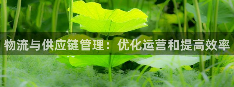 28圈.ccmpc28：物流与供应链