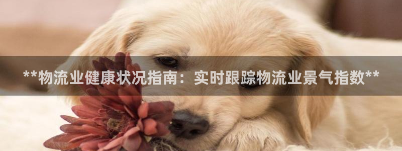 28圈预测加拿大
