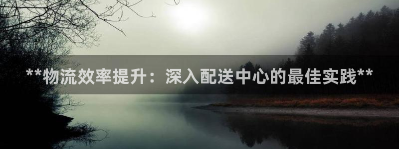28圈技巧：**物流效率提升：深入配