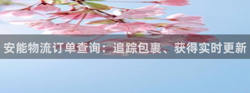 28圈在线预测：安能物流订单查询：追