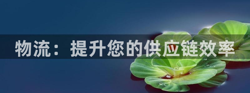 28圈能赢钱吗