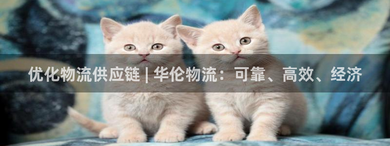 28圈选28ng官网：优化物流供应链