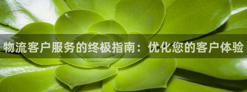 28圈怎么下载