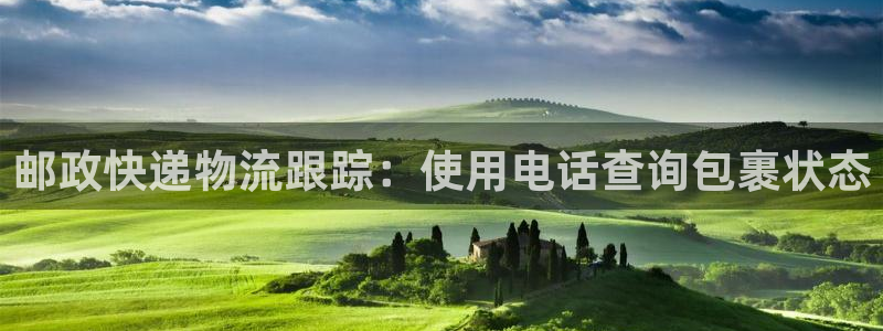 28圈在线预测官网
