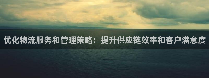 28圈注册网站谁有：优化物流服务和管