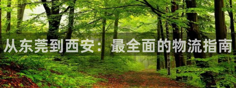 28圈加拿大28