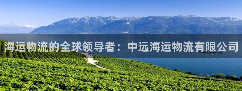 28圈选28ng官网：海运物流的全球