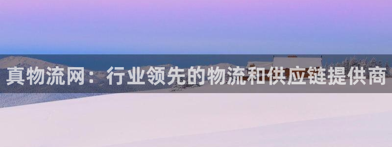 28圈模拟器：真物流网：行业领先的物