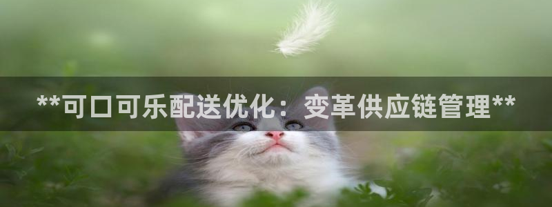 28圈能退款吗
