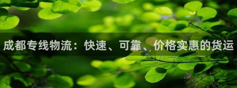 28圈圈：成都专线物流：快速、可靠、