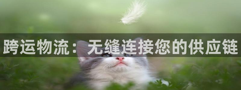 28圈pg麻将胡了2老是空转：跨运物