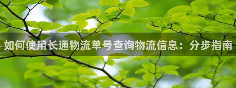 28圈在线预测官网：如何使用长通物流