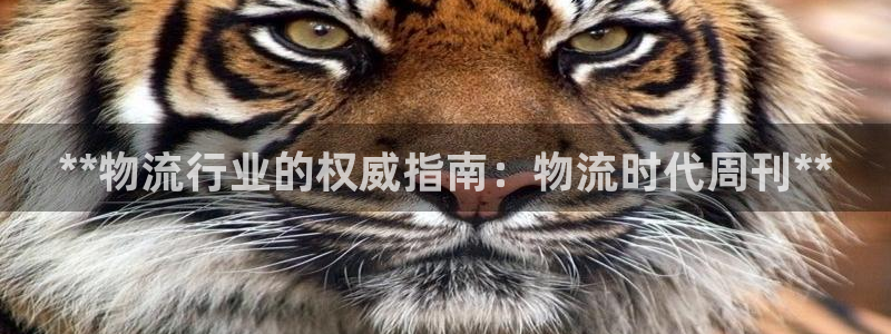 28圈软件