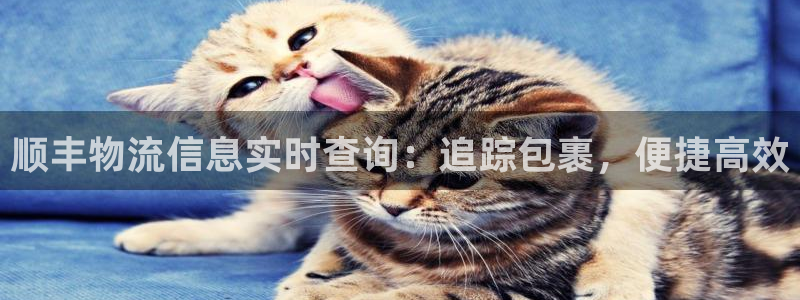 28圈怎么注册游戏名字：顺丰物流信息
