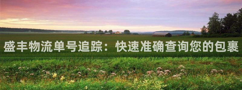 28圈昵称：盛丰物流单号追踪：快速准