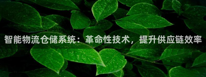 28圈客服一直不回消息怎么办