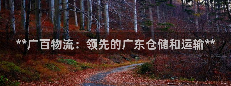 28圈哪个最赚钱