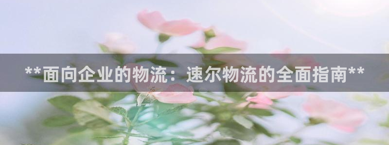 28圈麻将胡了