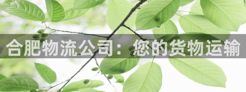 28圈机器人是什么软件：合肥物流公司