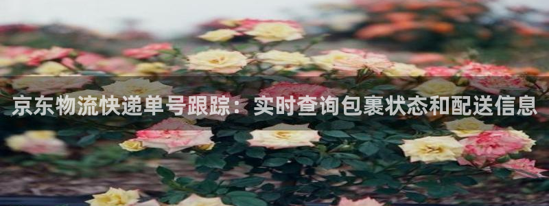 28圈忘记账号
