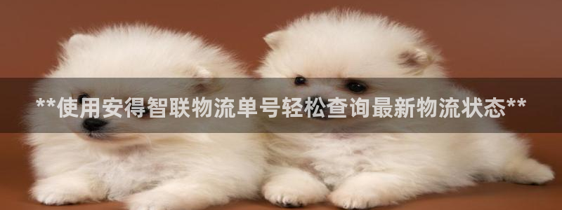 28圈app怎么注销