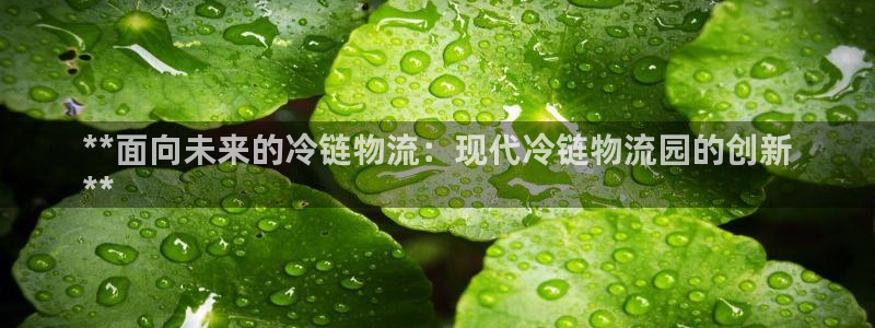 28圈比特28真实吗