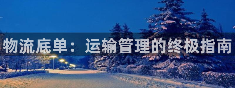 28圈登录网：物流底单：运输管理的终