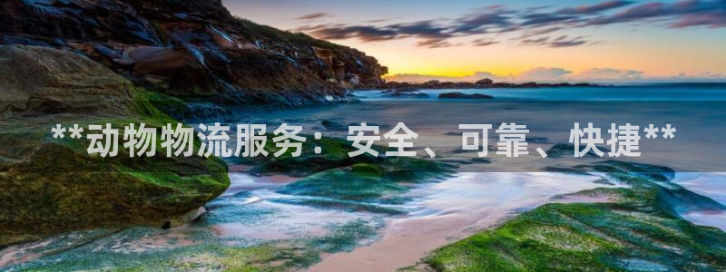 28圈新用户怎么注册：**动物物流服