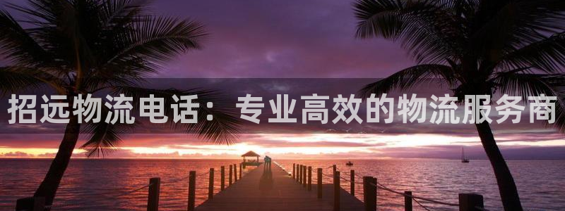 28圈pg麻将胡了