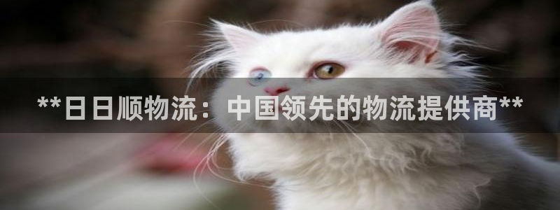 28圈能退款吗