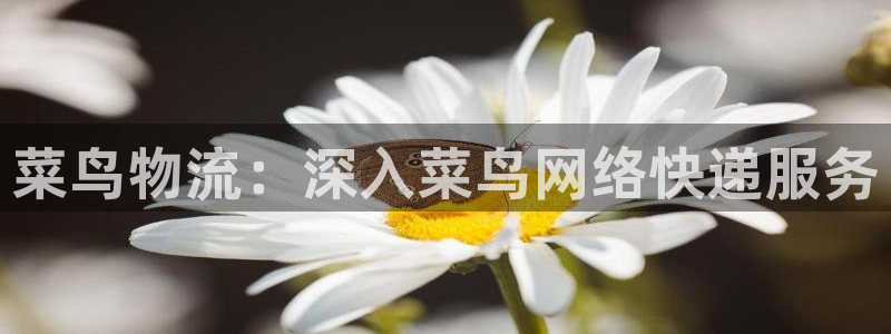28圈最稳打法
