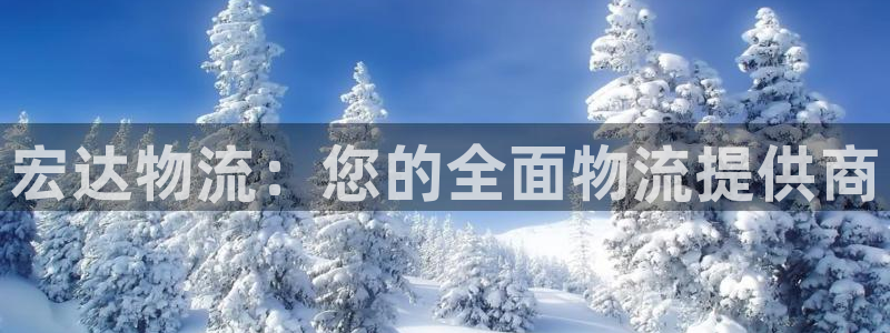 28圈在线预测官网