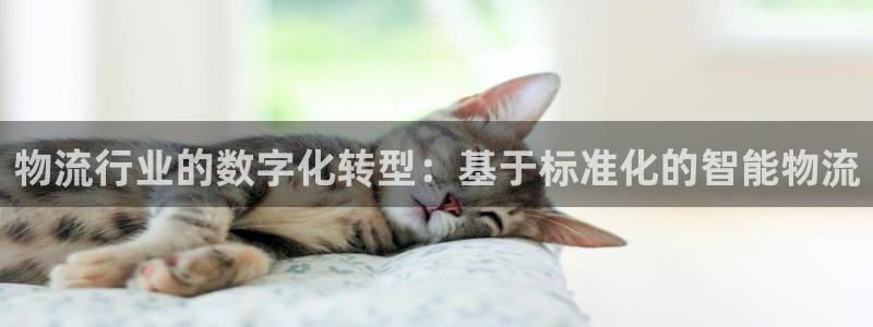 28圈官方官网：物流行业的数字化转型