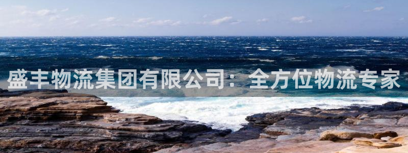 28圈注册链接：盛丰物流集团有限公司