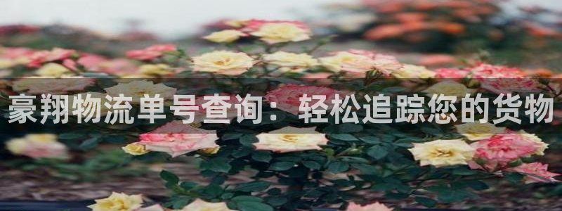 28圈初始密码在哪里修改