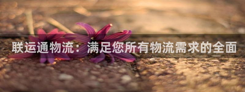 28圈圈
