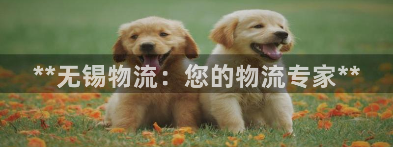 28圈.ccm南宫：**无锡物流：您