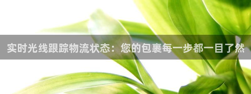 28圈注册登录链接流程：实时光线跟踪