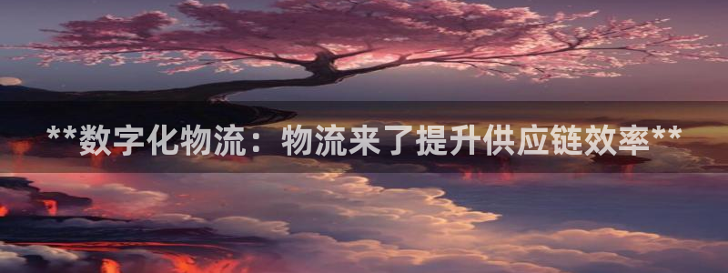 28圈pc预测
